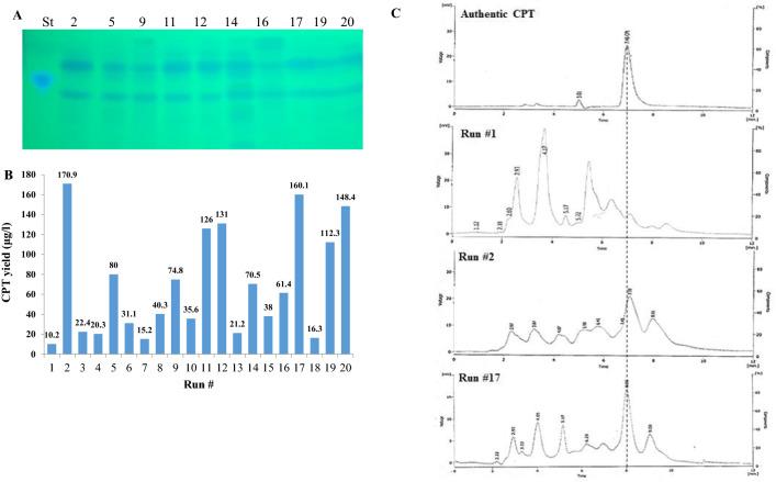 https://cdn.ncbi.nlm.nih.gov/pmc/blobs/1f53/9824926/31ea36334bc7/12934_2022_2012_Fig6_HTML.jpg