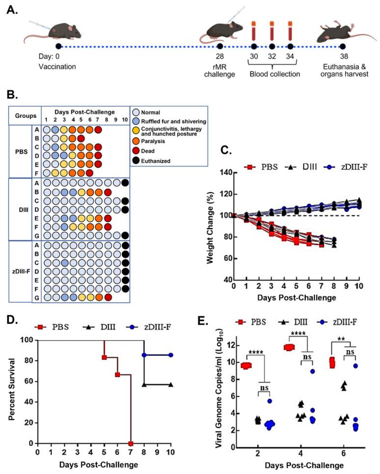https://cdn.ncbi.nlm.nih.gov/pmc/blobs/1f55/10143468/4f8683488d22/vaccines-11-00821-g002.jpg