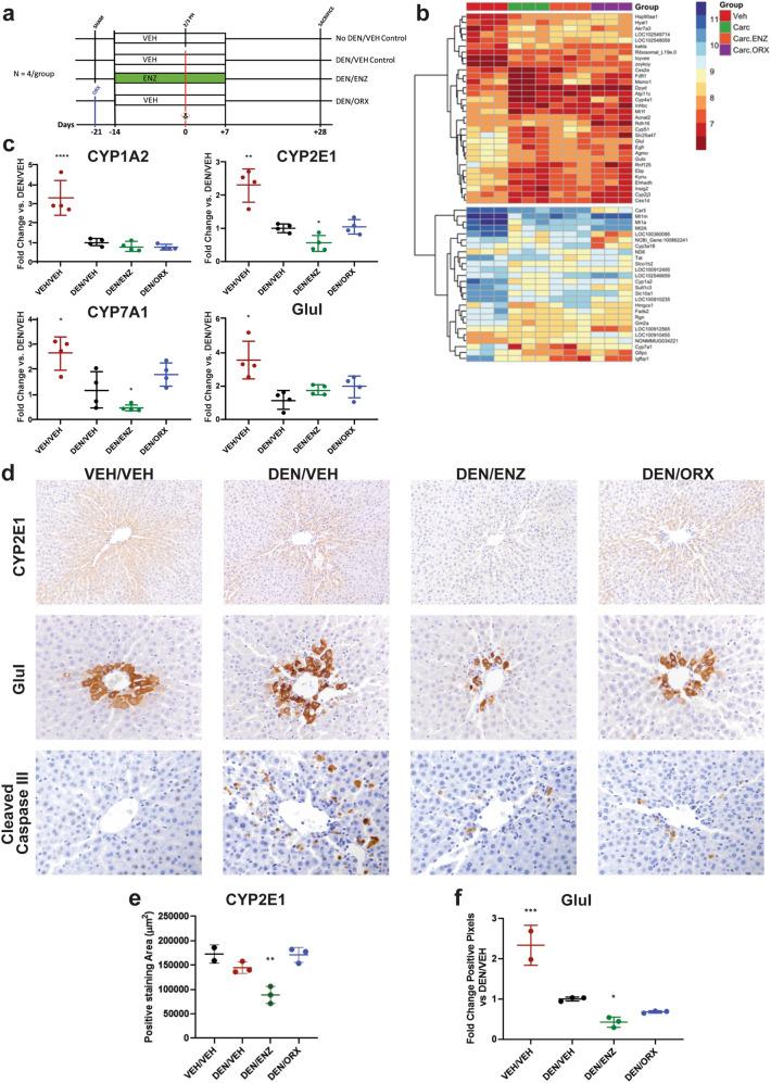 https://cdn.ncbi.nlm.nih.gov/pmc/blobs/1f55/7878907/67a2f3fdabe6/41598_2021_82252_Fig2_HTML.jpg