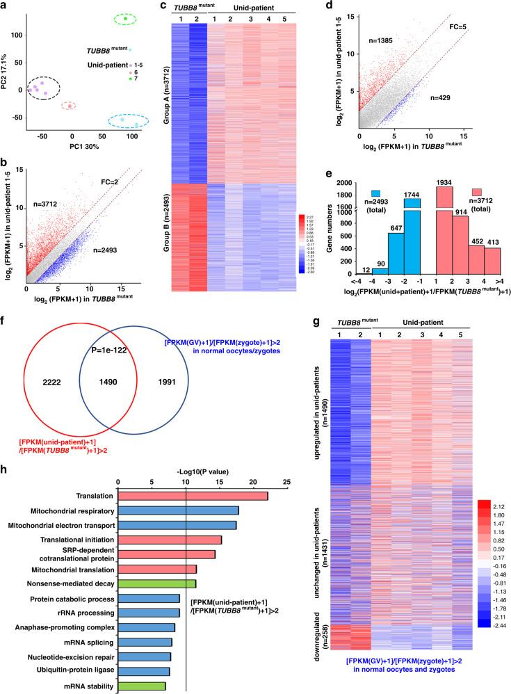 https://cdn.ncbi.nlm.nih.gov/pmc/blobs/1f57/7530992/146f3d5054fe/41467_2020_18680_Fig6_HTML.jpg