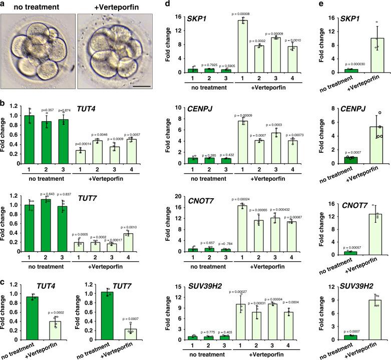 https://cdn.ncbi.nlm.nih.gov/pmc/blobs/1f57/7530992/8dd65c650e1b/41467_2020_18680_Fig10_HTML.jpg