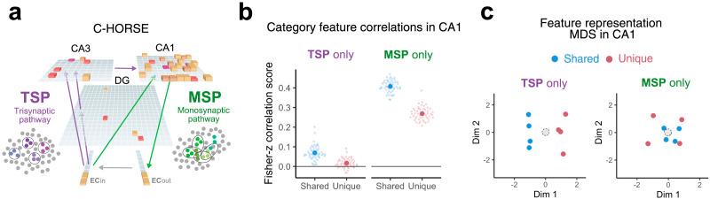 https://cdn.ncbi.nlm.nih.gov/pmc/blobs/1f5b/11627532/4de3fdb9994f/opmi-08-1348-g005.jpg