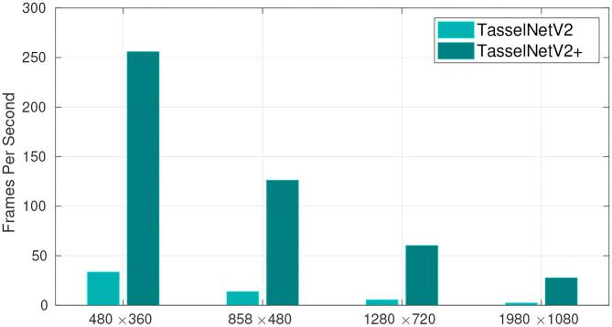 https://cdn.ncbi.nlm.nih.gov/pmc/blobs/1f5b/7750361/c4882fdd39a8/fpls-11-541960-g0001.jpg