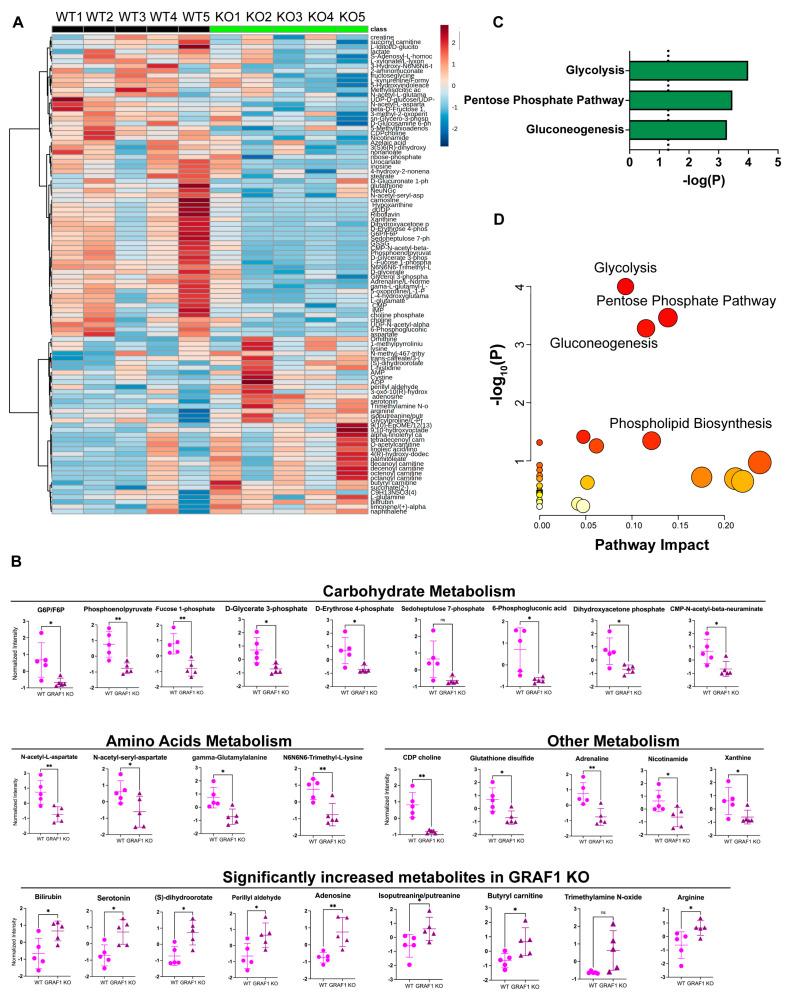 https://cdn.ncbi.nlm.nih.gov/pmc/blobs/1f5d/10930636/b4d66dc0ecc0/cells-13-00448-g005.jpg