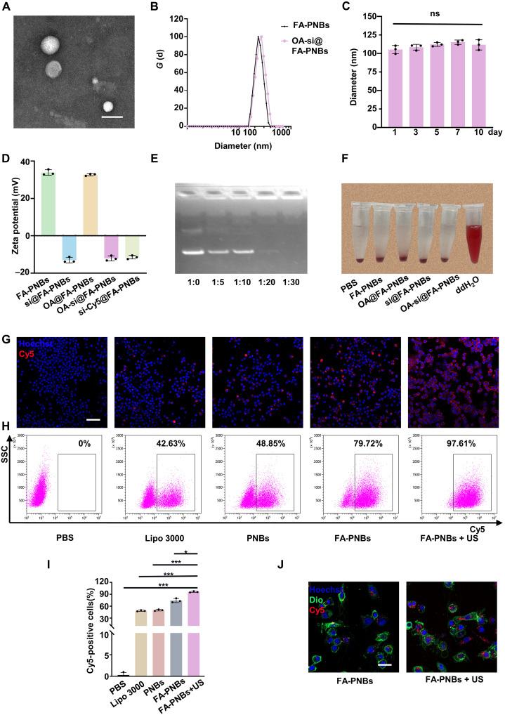 https://cdn.ncbi.nlm.nih.gov/pmc/blobs/1f60/11698097/28a3948f2f84/sciadv.adp7126-f2.jpg