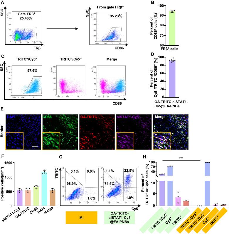 https://cdn.ncbi.nlm.nih.gov/pmc/blobs/1f60/11698097/b2370571e2e7/sciadv.adp7126-f4.jpg
