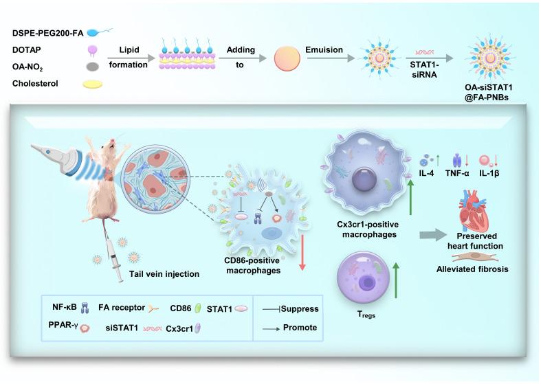 https://cdn.ncbi.nlm.nih.gov/pmc/blobs/1f60/11698097/efddd0aa28c2/sciadv.adp7126-f1.jpg