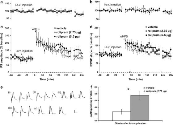 https://cdn.ncbi.nlm.nih.gov/pmc/blobs/1f60/3309535/1bfc8dfd2de2/tp201217f1.jpg