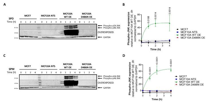 https://cdn.ncbi.nlm.nih.gov/pmc/blobs/1f61/10296708/03eb7c019ee9/biomolecules-13-00918-g005.jpg