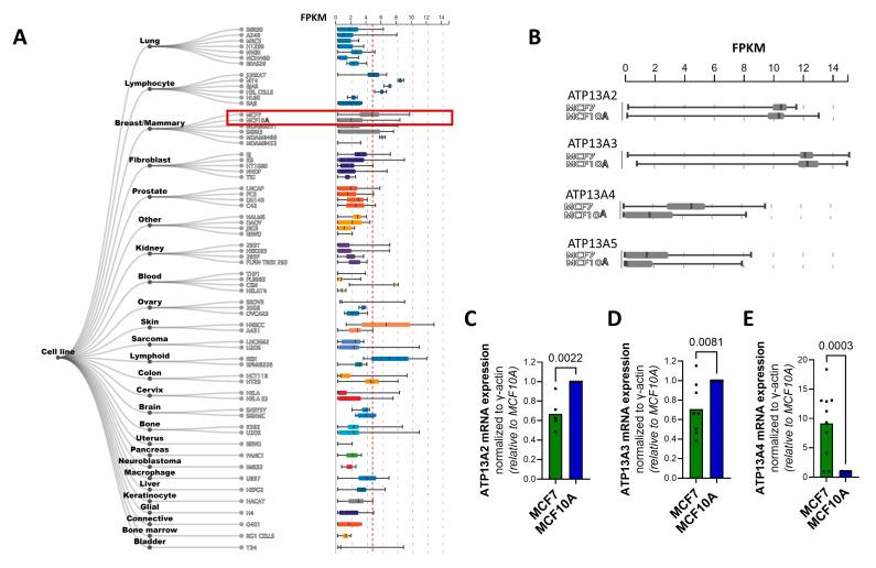 https://cdn.ncbi.nlm.nih.gov/pmc/blobs/1f61/10296708/87649a6954f4/biomolecules-13-00918-g002.jpg