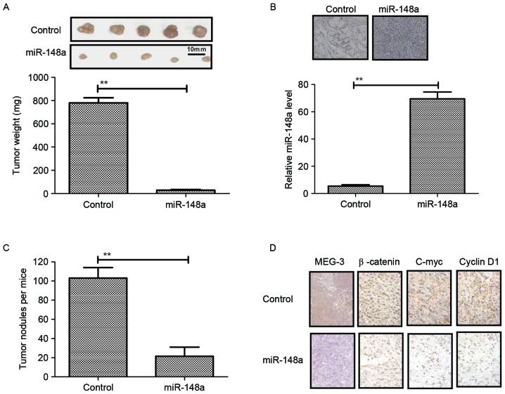 https://cdn.ncbi.nlm.nih.gov/pmc/blobs/1f62/6307449/48813bc3e7b0/etm-17-01-0639-g05.jpg