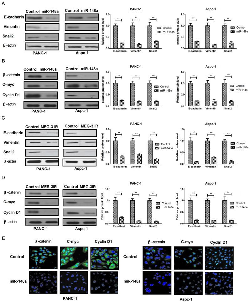 https://cdn.ncbi.nlm.nih.gov/pmc/blobs/1f62/6307449/d412d64f6914/etm-17-01-0639-g04.jpg