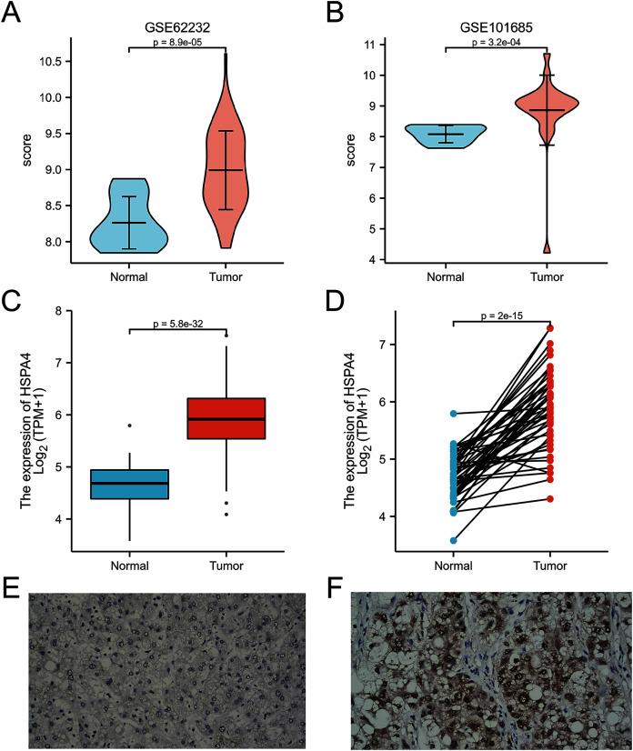 https://cdn.ncbi.nlm.nih.gov/pmc/blobs/1f64/8555498/81a469f3db52/peerj-09-12315-g002.jpg