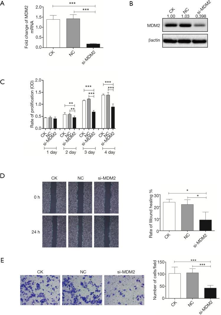 https://cdn.ncbi.nlm.nih.gov/pmc/blobs/1f65/8798298/d1eabccf52e4/tcr-09-04-2710-f3.jpg