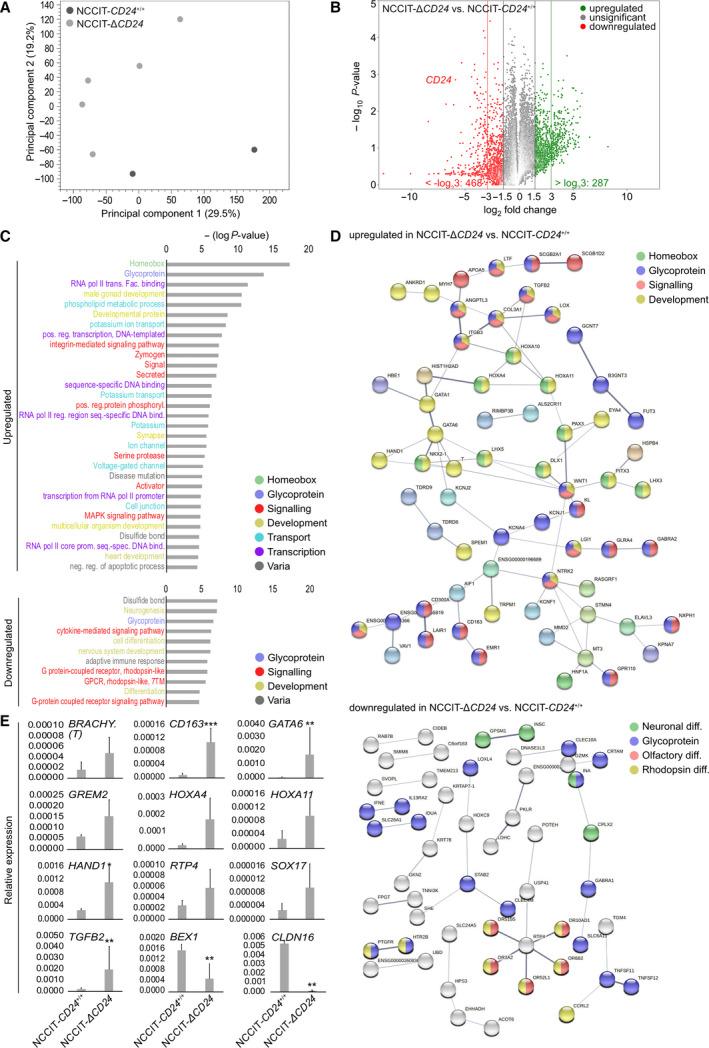 https://cdn.ncbi.nlm.nih.gov/pmc/blobs/1f66/8847992/5873b14c57be/MOL2-16-982-g002.jpg