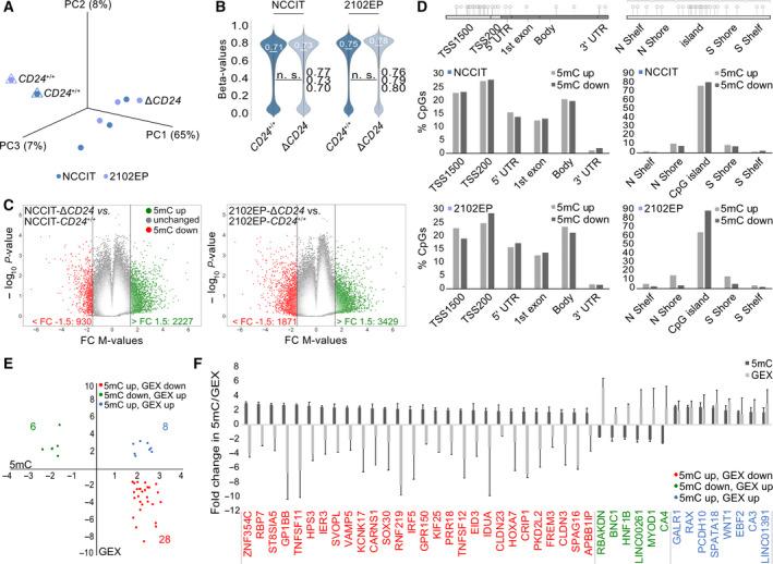 https://cdn.ncbi.nlm.nih.gov/pmc/blobs/1f66/8847992/a10f86bc5ac4/MOL2-16-982-g003.jpg