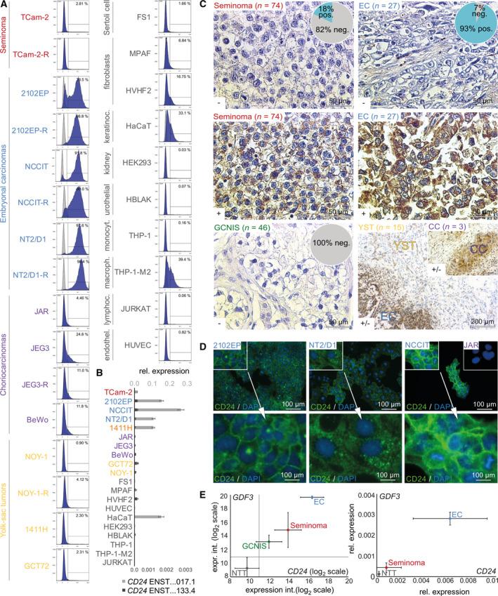 https://cdn.ncbi.nlm.nih.gov/pmc/blobs/1f66/8847992/ee3456480df6/MOL2-16-982-g005.jpg