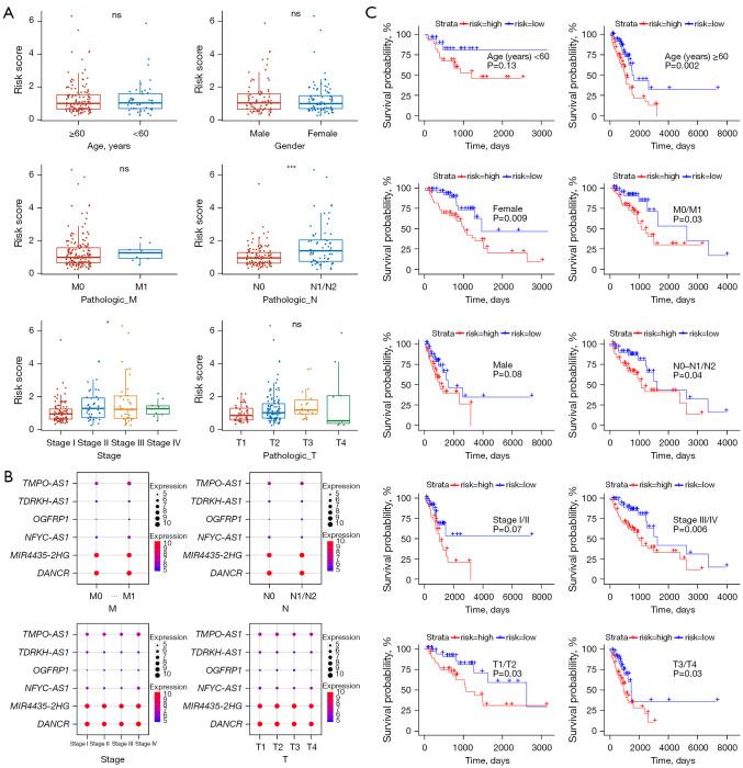 https://cdn.ncbi.nlm.nih.gov/pmc/blobs/1f69/11912078/7196350e06b7/tcr-14-02-761-f5.jpg