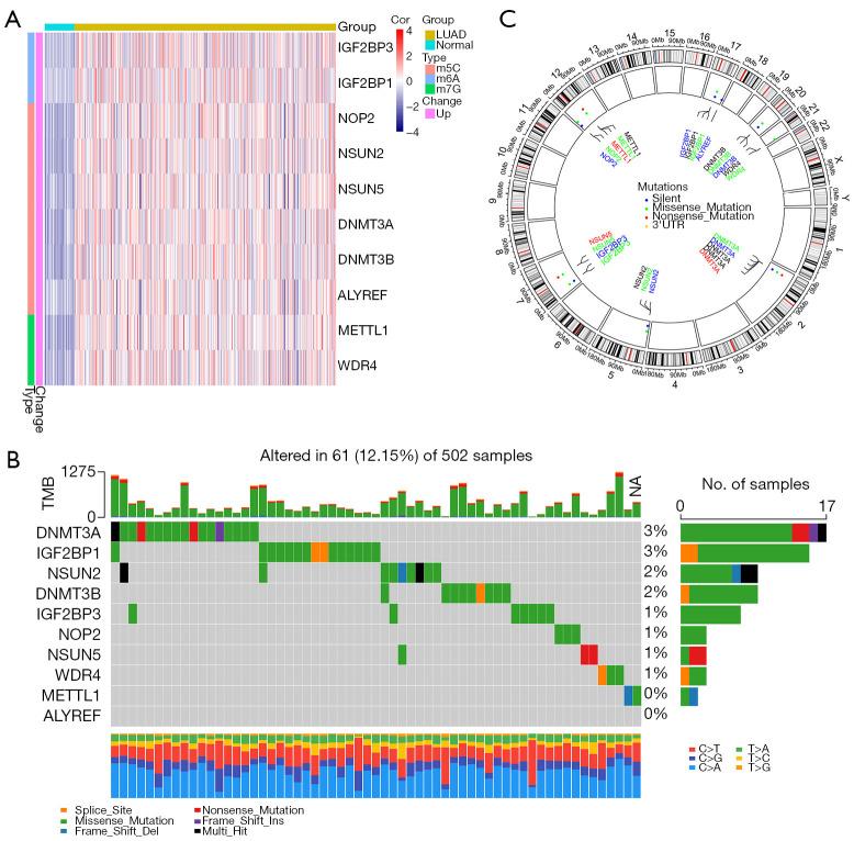 https://cdn.ncbi.nlm.nih.gov/pmc/blobs/1f69/11912078/d968473b4391/tcr-14-02-761-f1.jpg