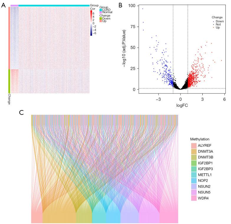 https://cdn.ncbi.nlm.nih.gov/pmc/blobs/1f69/11912078/e890cb572fd7/tcr-14-02-761-f2.jpg