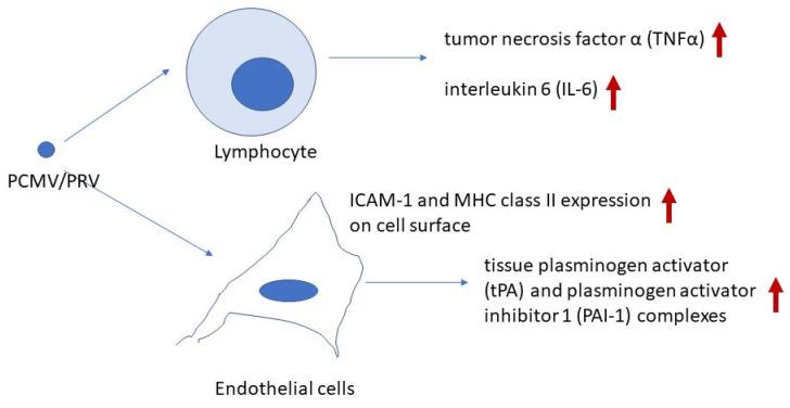 https://cdn.ncbi.nlm.nih.gov/pmc/blobs/1f6b/12026653/39de25446f4c/ijms-26-03542-g001.jpg