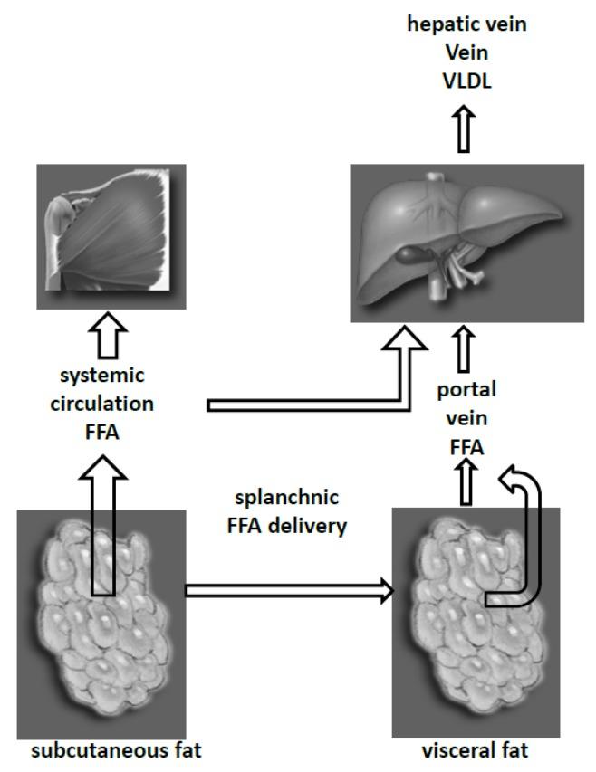 https://cdn.ncbi.nlm.nih.gov/pmc/blobs/1f6b/3635208/aa84b6afc3b9/nutrients-05-00498-g001.jpg