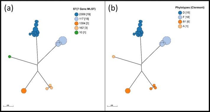 https://cdn.ncbi.nlm.nih.gov/pmc/blobs/1f6c/7587761/3774ed9f83d0/figs2.jpg