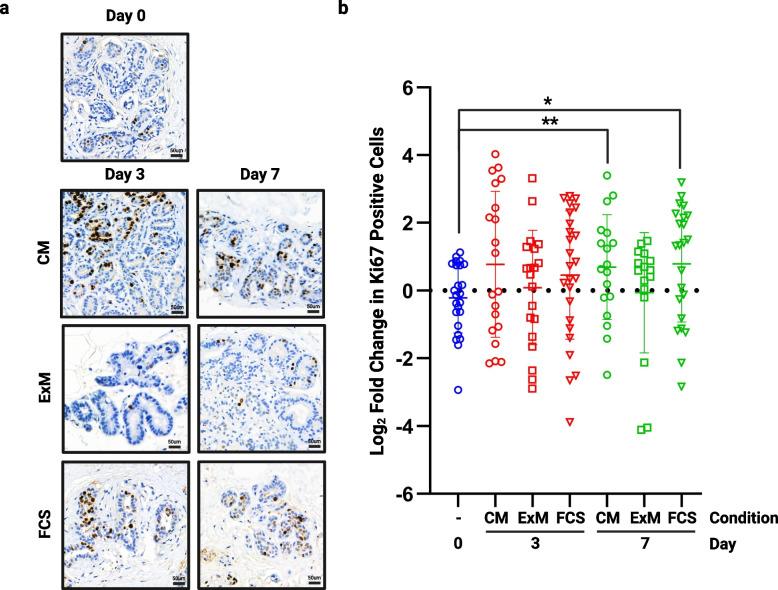 https://cdn.ncbi.nlm.nih.gov/pmc/blobs/1f6e/11065935/19dc24be662f/10911_2024_9562_Fig2_HTML.jpg