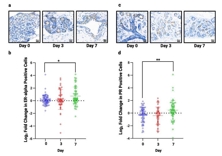 https://cdn.ncbi.nlm.nih.gov/pmc/blobs/1f6e/11065935/8bd5bd984aa9/10911_2024_9562_Fig5_HTML.jpg