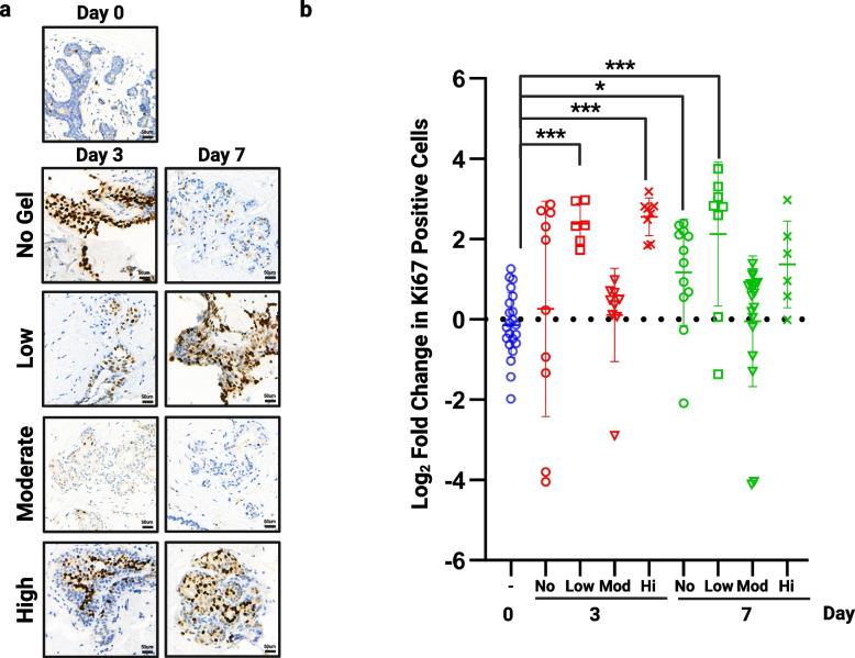 https://cdn.ncbi.nlm.nih.gov/pmc/blobs/1f6e/11065935/997612272fce/10911_2024_9562_Fig3_HTML.jpg
