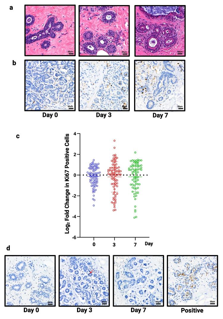 https://cdn.ncbi.nlm.nih.gov/pmc/blobs/1f6e/11065935/c6767b39a223/10911_2024_9562_Fig4_HTML.jpg