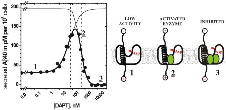 https://cdn.ncbi.nlm.nih.gov/pmc/blobs/1f71/3538728/a8e2b4869a2f/pone.0050759.g001.jpg
