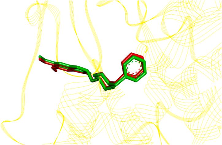 https://cdn.ncbi.nlm.nih.gov/pmc/blobs/1f72/11031784/14521017dd0e/gr4.jpg