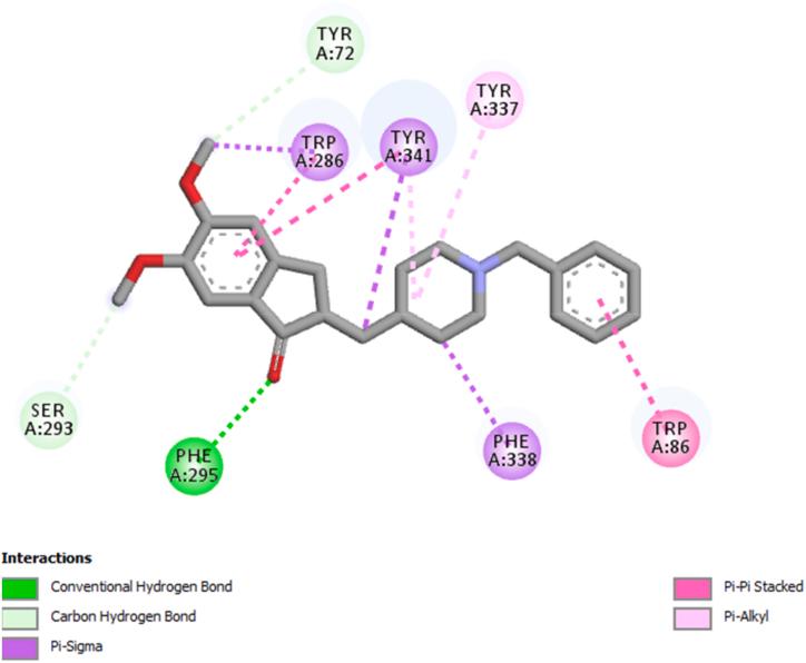 https://cdn.ncbi.nlm.nih.gov/pmc/blobs/1f72/11031784/75387c7d3d4a/gr7.jpg