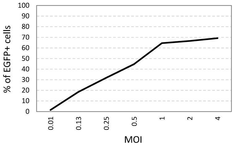 https://cdn.ncbi.nlm.nih.gov/pmc/blobs/1f72/9229155/1d73098663ec/viruses-14-01249-g001.jpg