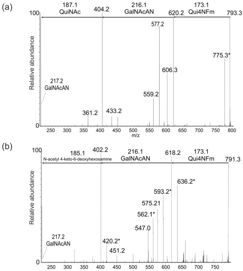 https://cdn.ncbi.nlm.nih.gov/pmc/blobs/1f73/4235683/7578cecfd7fd/pathogens-01-00012-g004.jpg