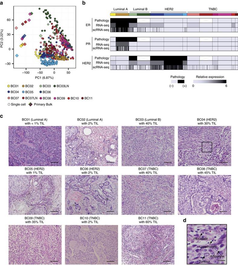 https://cdn.ncbi.nlm.nih.gov/pmc/blobs/1f73/5424158/84d9f030dfd3/ncomms15081-f1.jpg