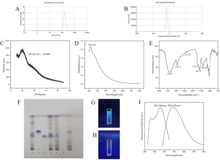 https://cdn.ncbi.nlm.nih.gov/pmc/blobs/1f74/11913708/4e9d794d1167/fmolb-12-1530469-g004.jpg