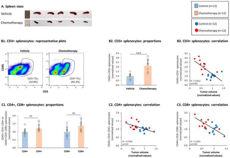 https://cdn.ncbi.nlm.nih.gov/pmc/blobs/1f74/8229590/342ea9fb28ad/cells-10-01429-g007.jpg