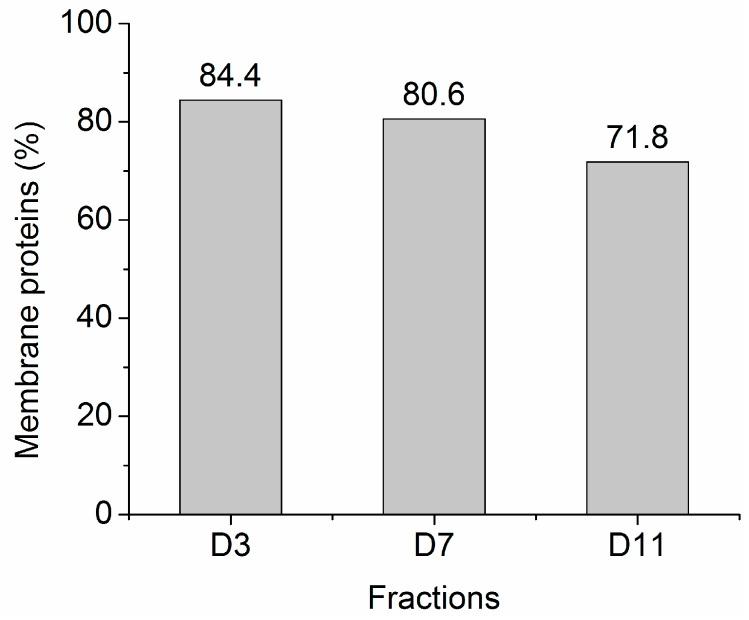 https://cdn.ncbi.nlm.nih.gov/pmc/blobs/1f75/5503057/c618c4f592e5/materials-09-00385-g008.jpg
