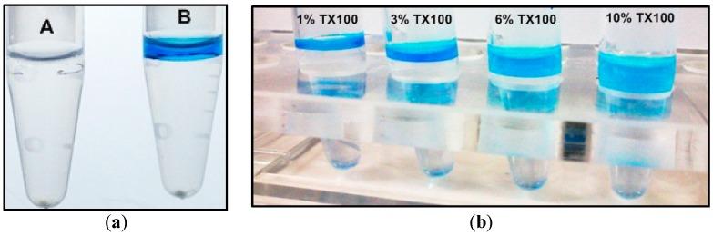 https://cdn.ncbi.nlm.nih.gov/pmc/blobs/1f75/5503057/f5b350c790fe/materials-09-00385-g001.jpg