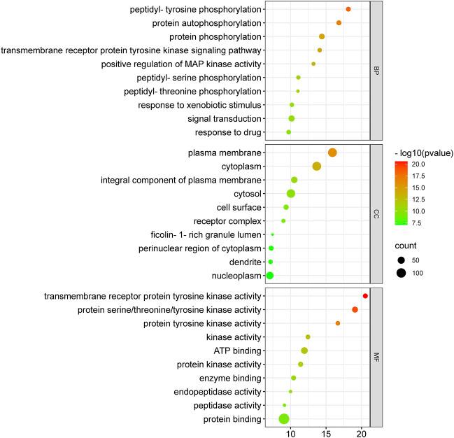 https://cdn.ncbi.nlm.nih.gov/pmc/blobs/1f75/9358010/302edb223f7e/fphar-13-968148-g007.jpg