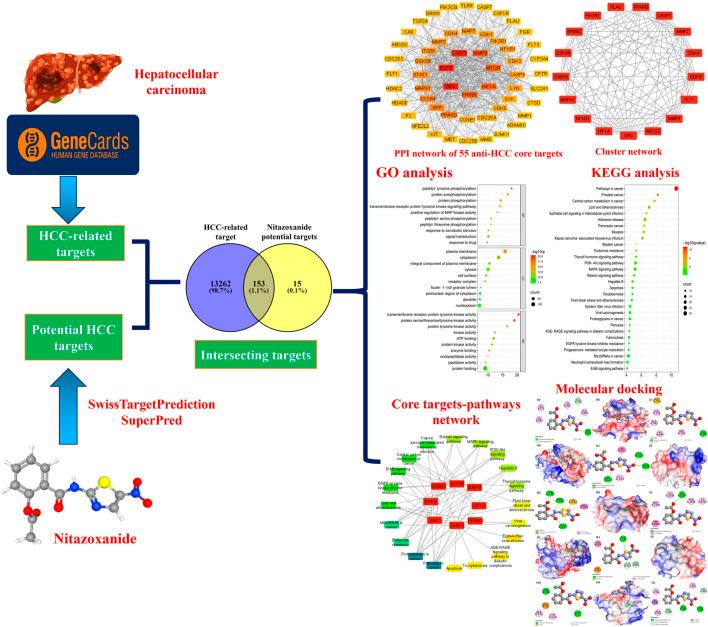 https://cdn.ncbi.nlm.nih.gov/pmc/blobs/1f75/9358010/df32ed479d5e/fphar-13-968148-g001.jpg