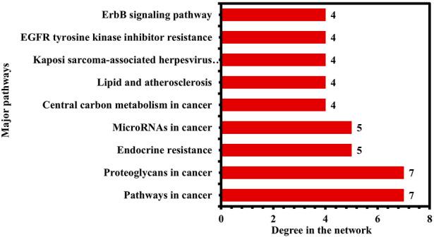 https://cdn.ncbi.nlm.nih.gov/pmc/blobs/1f75/9358010/f35a46ce6c1a/fphar-13-968148-g010.jpg