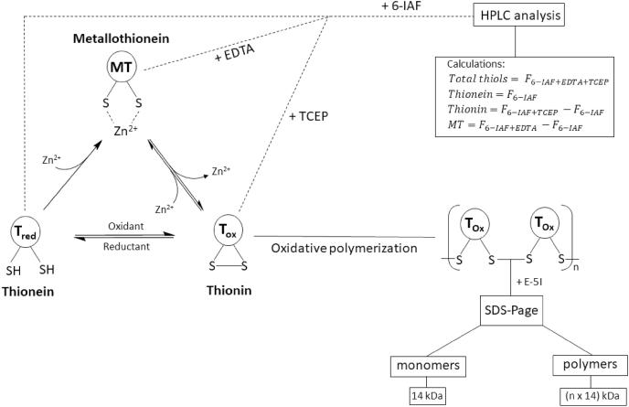 https://cdn.ncbi.nlm.nih.gov/pmc/blobs/1f7a/7937829/b15a449b538b/gr1.jpg