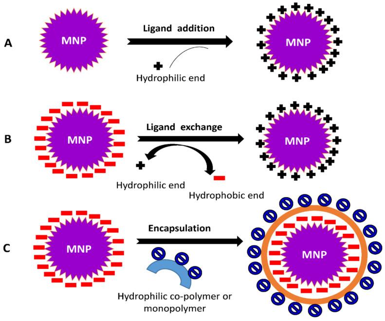 https://cdn.ncbi.nlm.nih.gov/pmc/blobs/1f7a/9031869/bd56d959e97b/nanomaterials-12-01333-g004.jpg