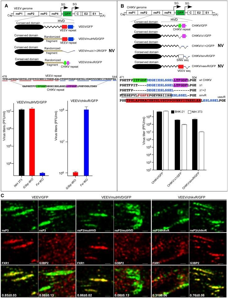 https://cdn.ncbi.nlm.nih.gov/pmc/blobs/1f7b/4980055/528ca2f3975b/ppat.1005810.g007.jpg