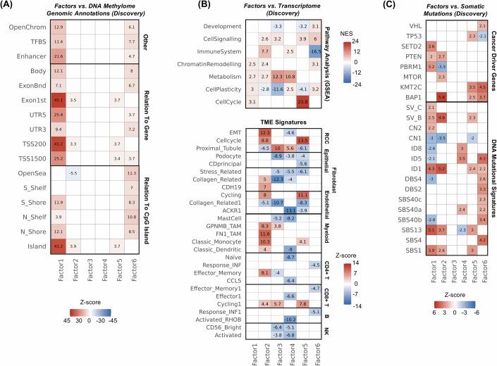 https://cdn.ncbi.nlm.nih.gov/pmc/blobs/1f7d/11612429/4210c3e074d9/44320_2024_72_Fig2_HTML.jpg