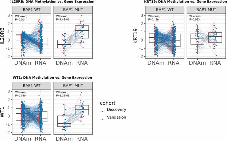 https://cdn.ncbi.nlm.nih.gov/pmc/blobs/1f7d/11612429/ac2205e09805/44320_2024_72_Fig10_ESM.jpg