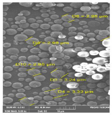 https://cdn.ncbi.nlm.nih.gov/pmc/blobs/1f7f/7827815/87a33cccc99e/pharmaceutics-13-00079-g002.jpg